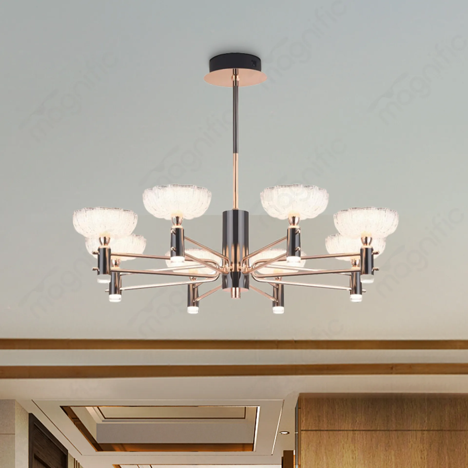 Magnific Gold and Gunmetal Finish Chandeleir