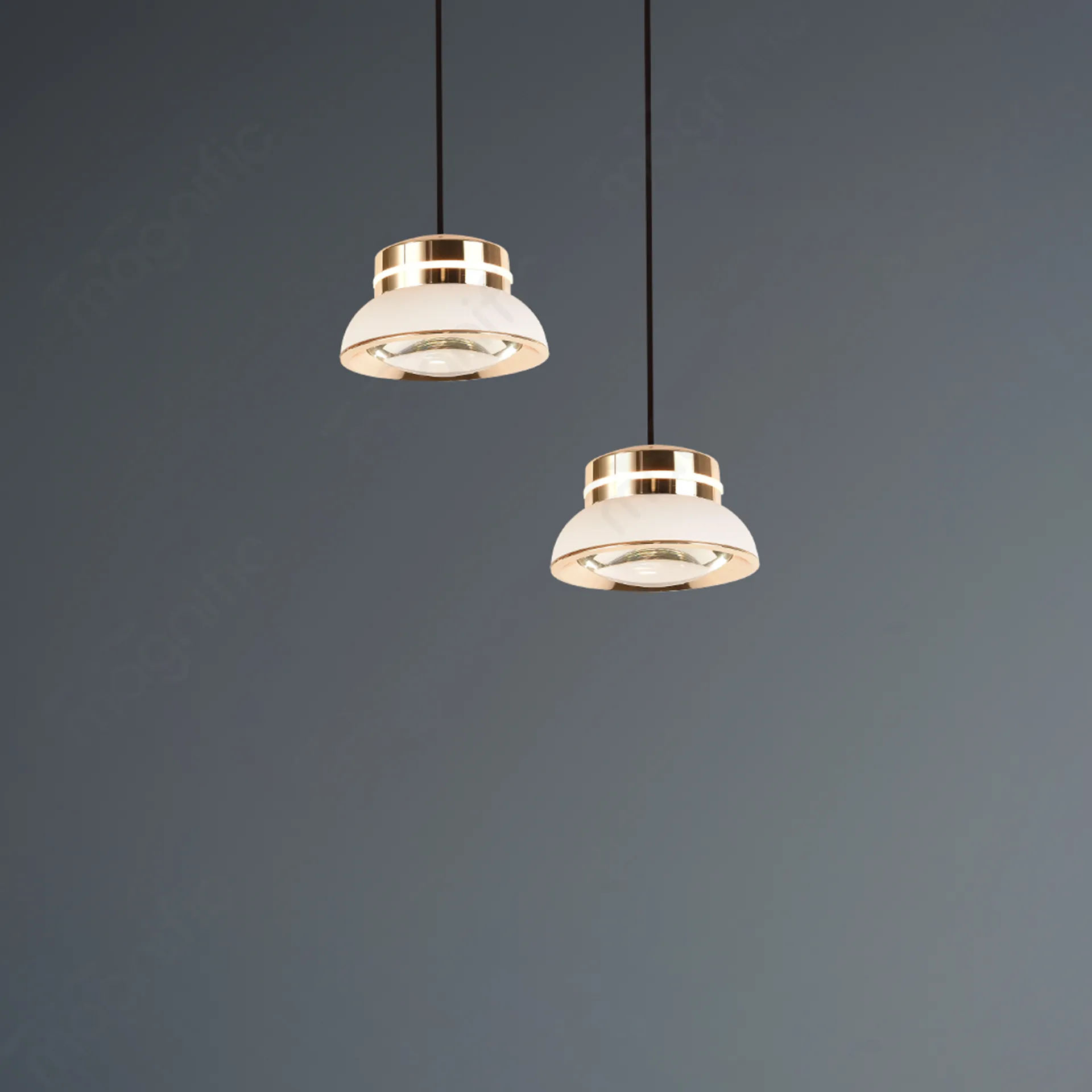 Magnific Modern Pendant Light