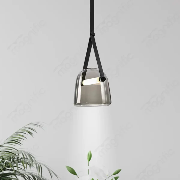 Magnific Contemporary Pendant Light