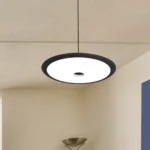 Magnific Dimmable LED Pendant Light