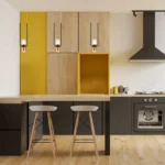 Magnific Modern Black and Gold Pendant Light