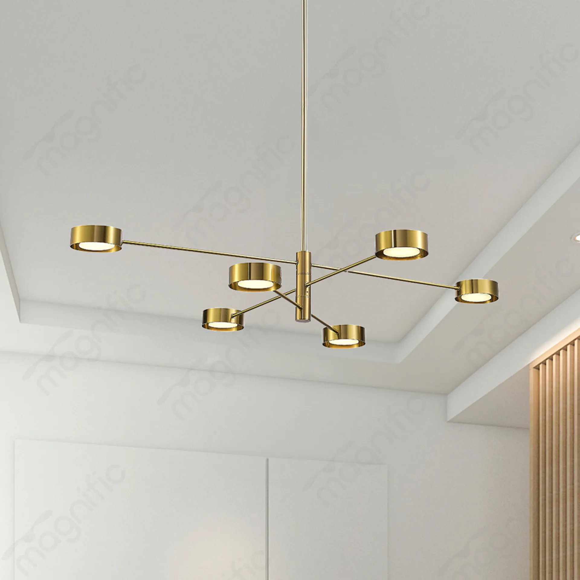 Magnific brass hanging light