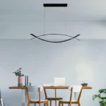 Magnific Black Linear Light