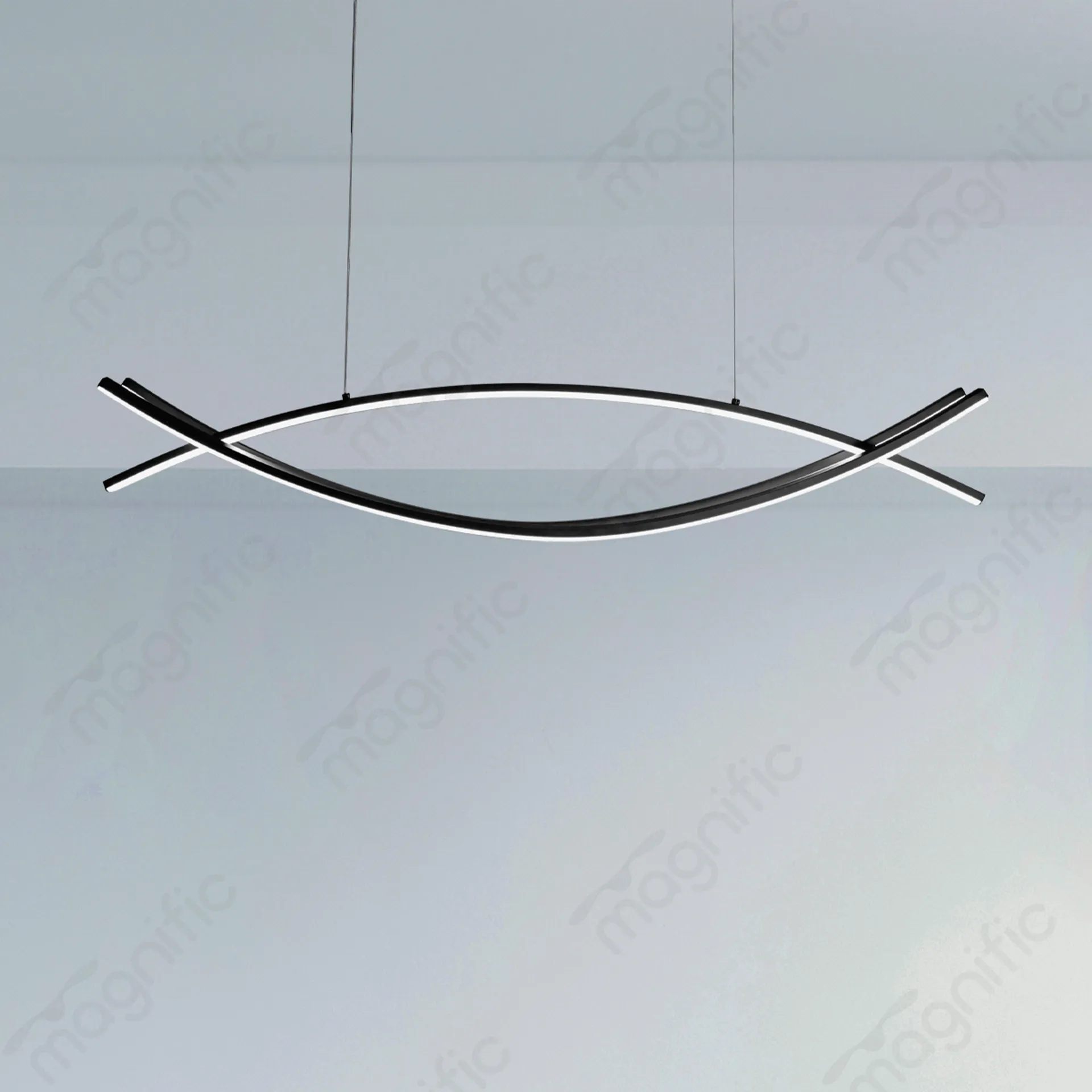 Magnific Black Linear Light