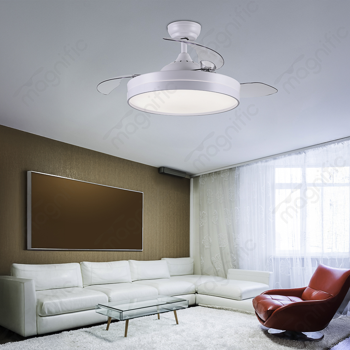 Designer REGAL Fans | Stylish & Modern