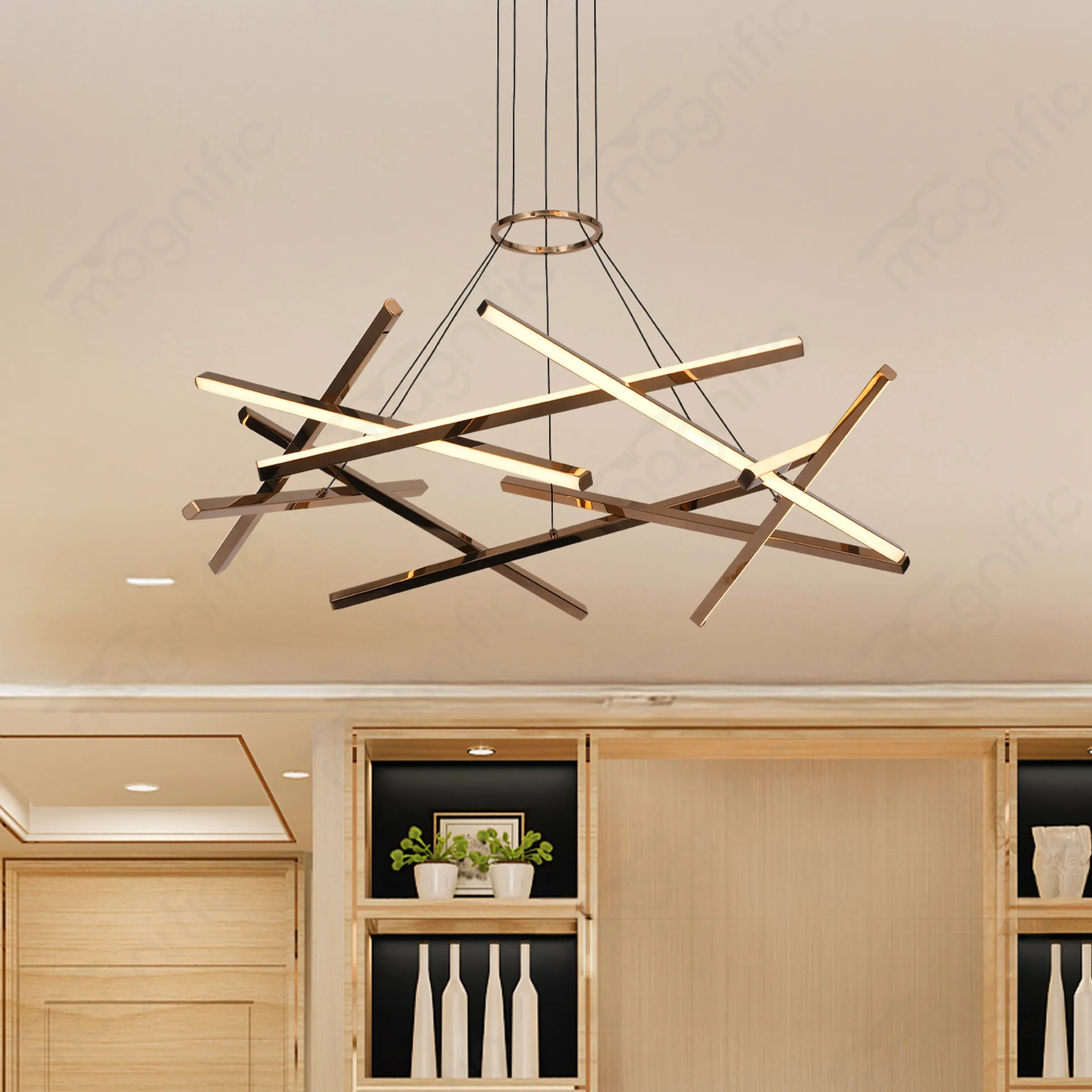 Magnific Energy-Efficient Modern Ceiling Light