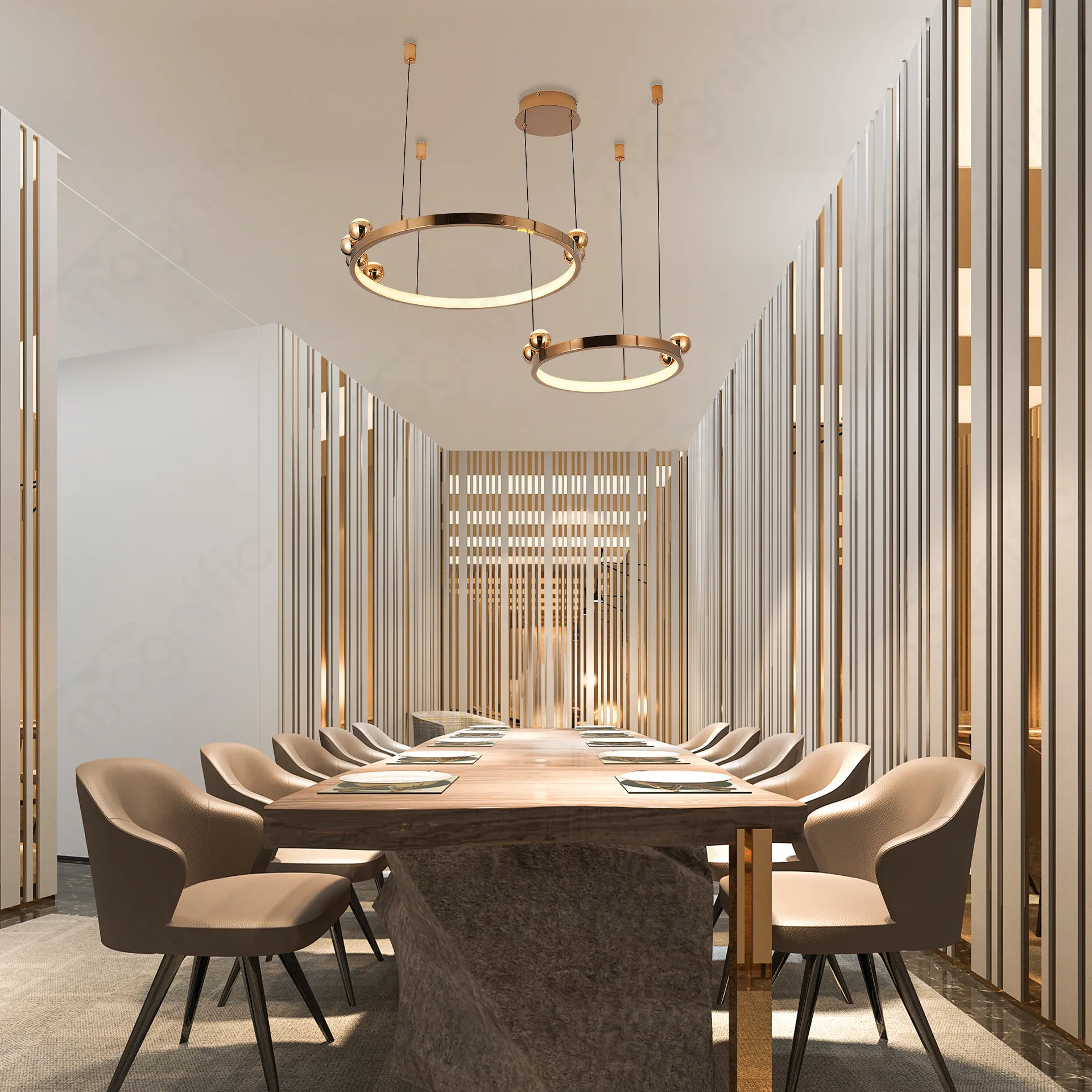 Magnific Modern Circular Frame light