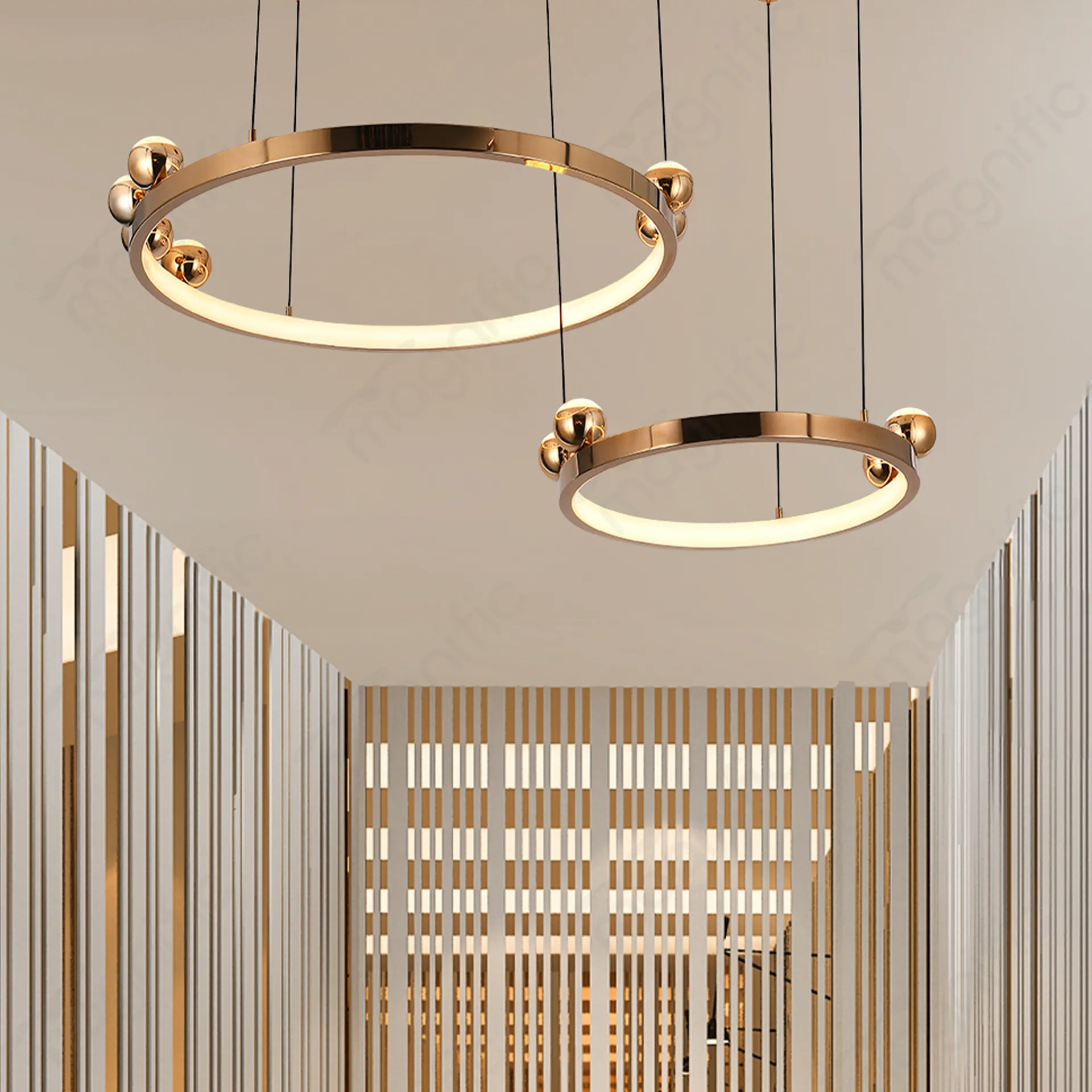 Magnific Modern Circular Frame light