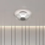 Magnific Sleek Surface-Mount Chrome Light