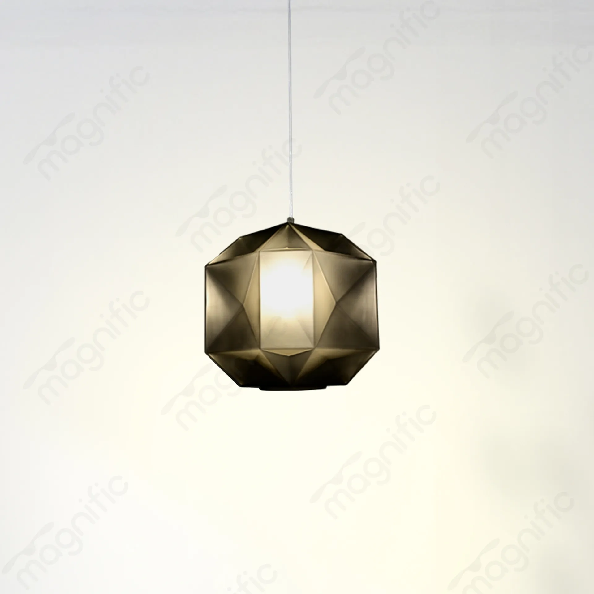 Magnific Contemporary Pendant Lamp