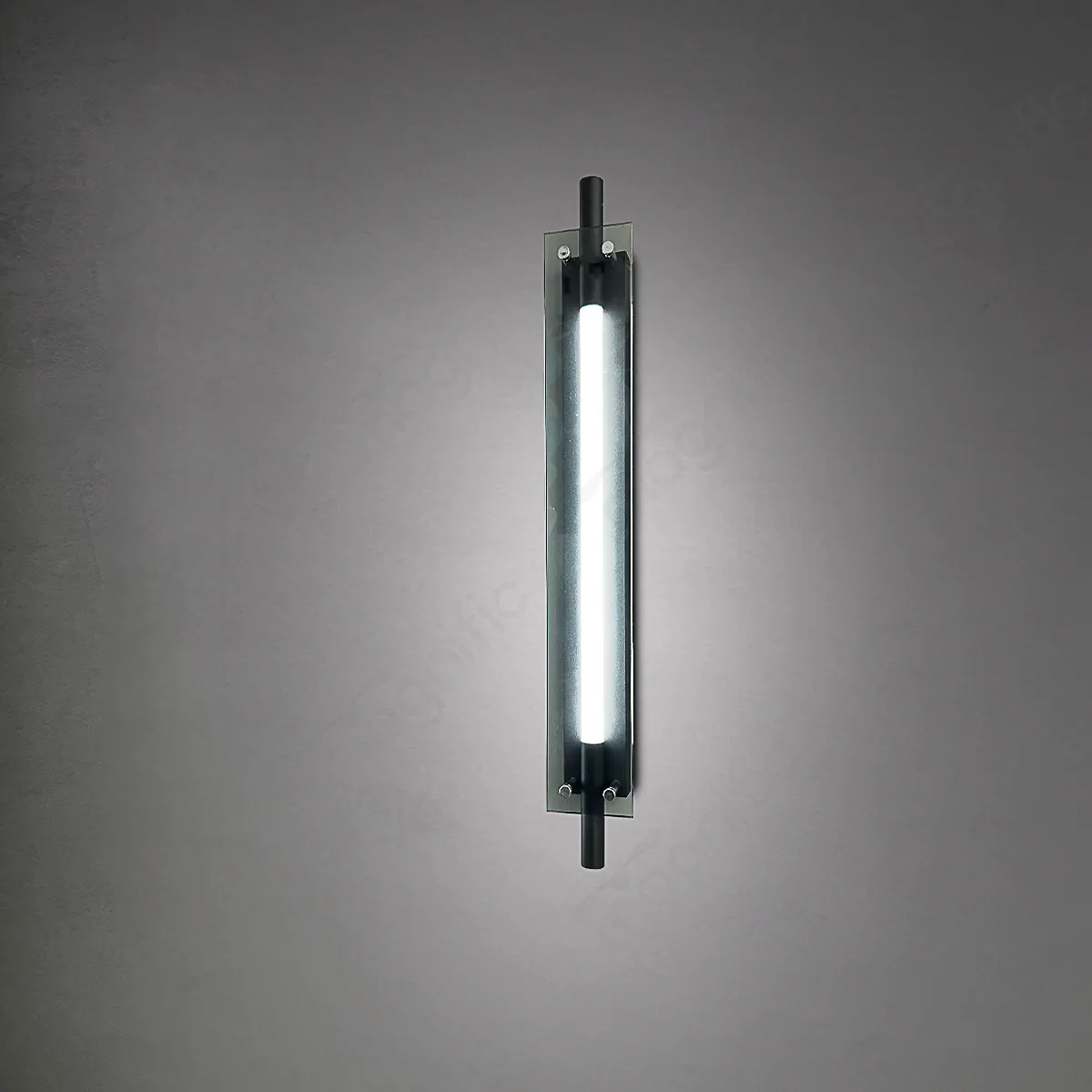 Magnific Modern LED wall light