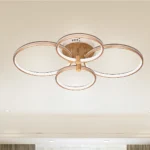 Magnific Stylish Contemporary Surface Mount