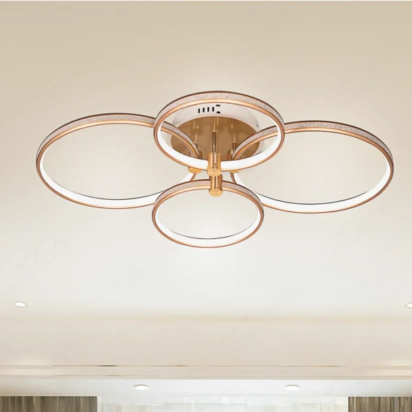 Magnific Stylish Contemporary Surface Mount