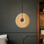 Magnific Sleek Modern Pendant Light