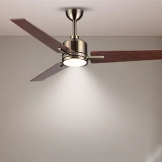 Designer Swan Plus Fan