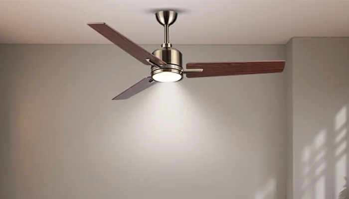 Designer Swan Plus Fan