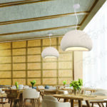 organic pendant light for dining room