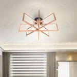 luxury ceiling light for living room India