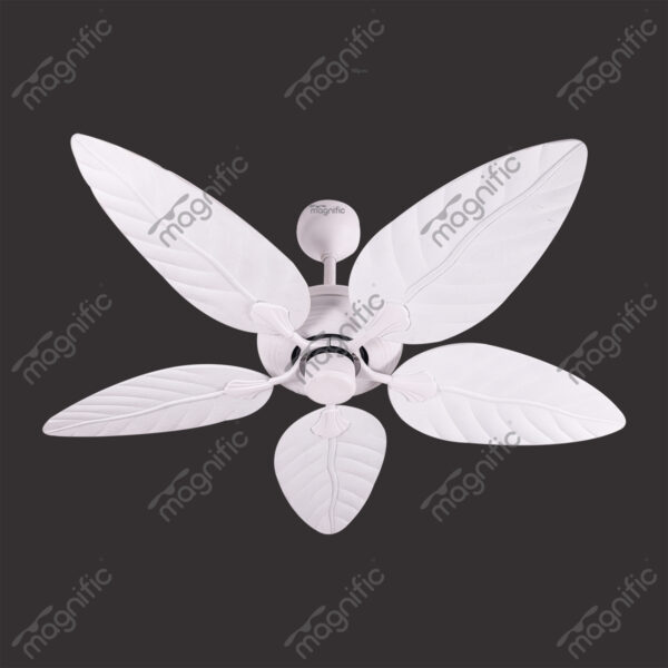 Daisy White Magnific Contemporary Designer Ceiling Fans - Front View